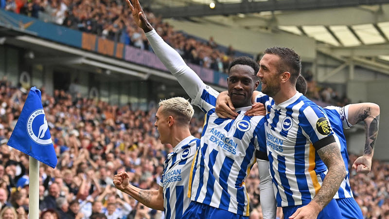 soi kèo Brighton vs Newcastle United