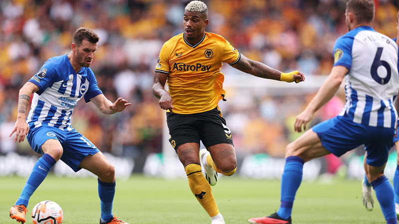 soi kèo Wolves vs Brighton