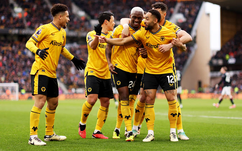 soi kèo Wolves vs Brighton